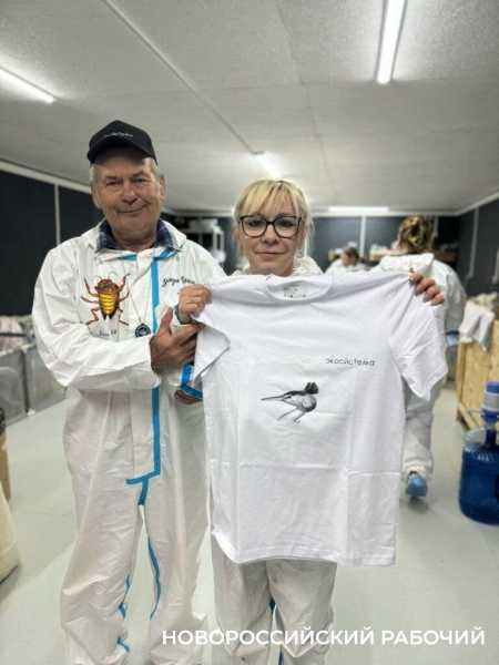 Волонтер дядя Саша рисует спасенных птиц, как будто мазутной катастрофы в Анапе и не было