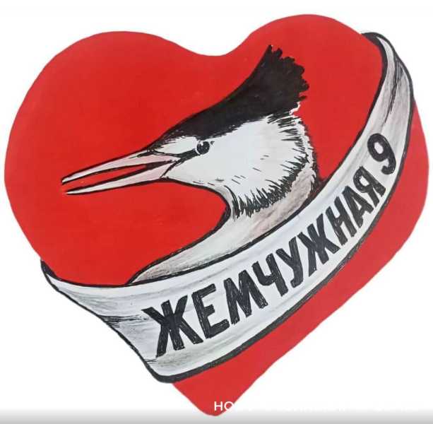 Волонтер дядя Саша рисует спасенных птиц, как будто мазутной катастрофы в Анапе и не было