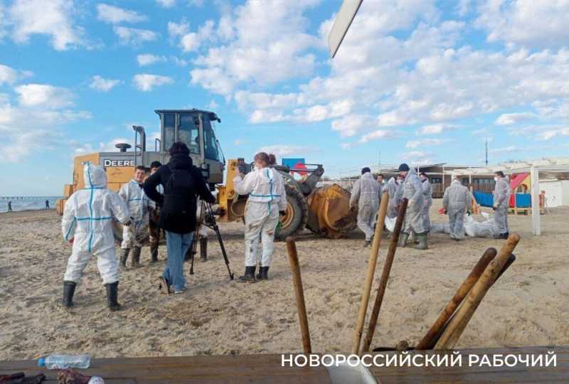 Волонтер дядя Саша рисует спасенных птиц, как будто мазутной катастрофы в Анапе и не было