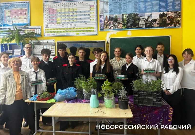 Выращивают огурцы и гениев! В теплицах школ Новороссийска собирают первые урожаи