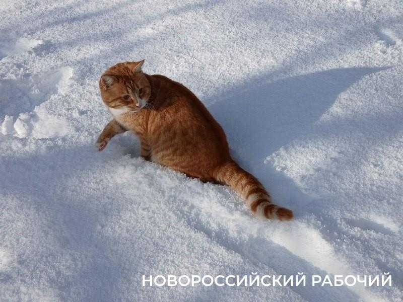 Зима в Новороссийске началась и &mdash; закончилась. Ждем грозы и ветра