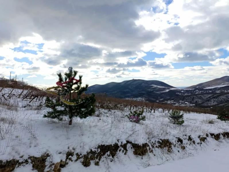 Зима в Новороссийске началась и &mdash; закончилась. Ждем грозы и ветра