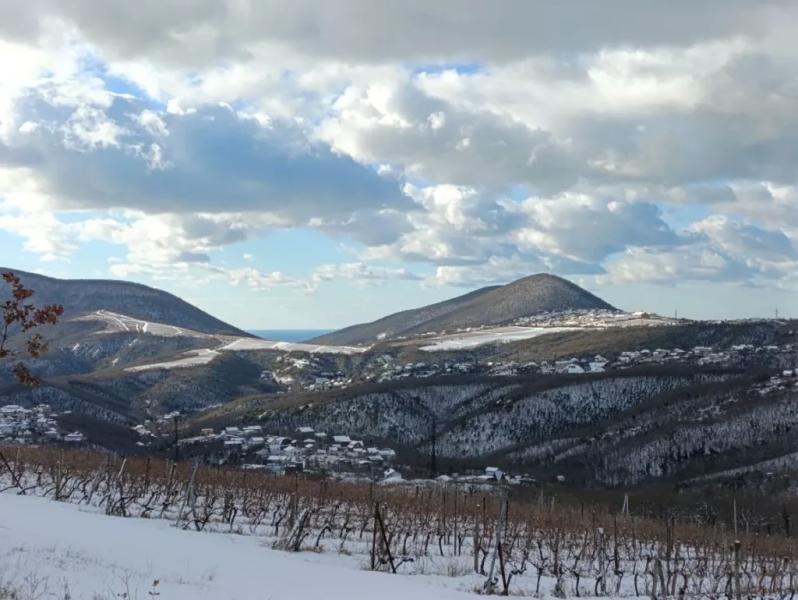 Зима в Новороссийске началась и &mdash; закончилась. Ждем грозы и ветра