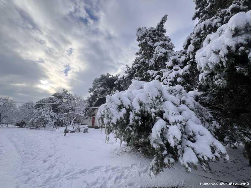 2 февраля можно поговорить. Например, о ёжиках