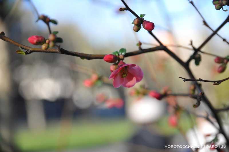 28 февраля &ndash; официальный День ухода зимы. Привет, весна!