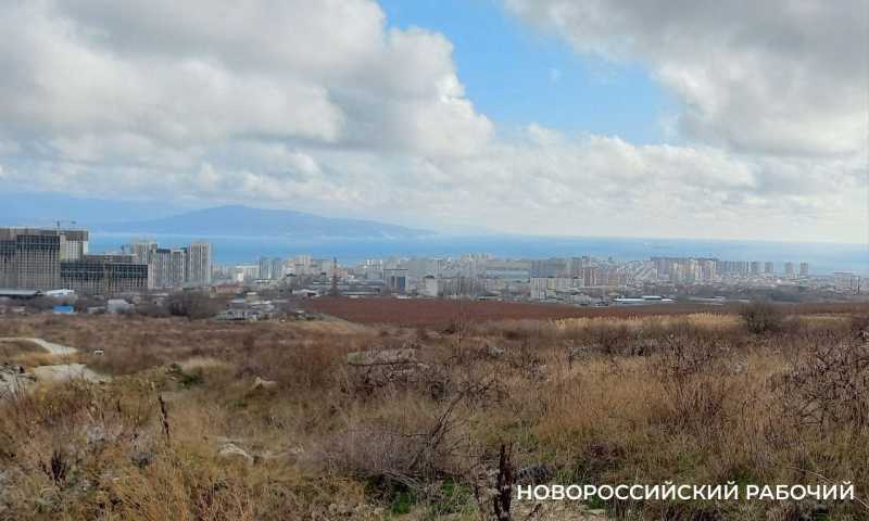 Бастрыкин опять заинтересовался новым генпланом Новороссийска