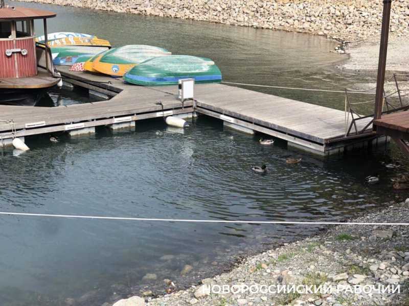 Борис Титов: о новой дороге в Абрау-Дюрсо, свалке, состоянии озера и количестве туристов