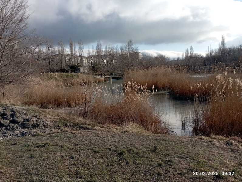 Глава Новороссийска&nbsp; Андрей Кравченко: &laquo;На Южных прудах ничего не затягивается&raquo;