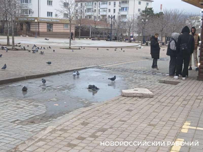 Голуби, аллея, дорога к храму &ndash; в зимние дни жители Новороссийска выходят на бульвар