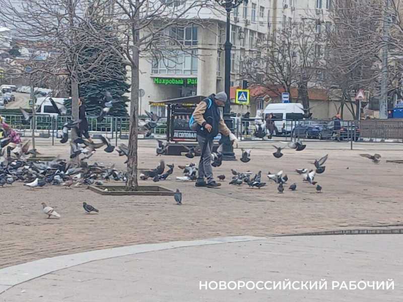 Голуби, аллея, дорога к храму &ndash; в зимние дни жители Новороссийска выходят на бульвар