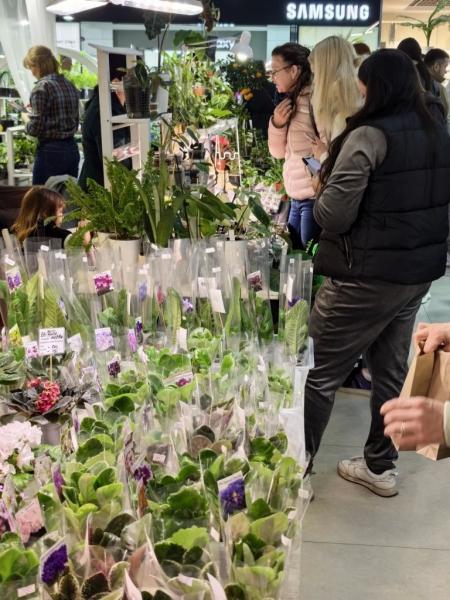 Когда мужики становятся ботаниками и не экономят на красоте. В Новороссийске прошла большая выставка цветов