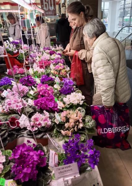 Когда мужики становятся ботаниками и не экономят на красоте. В Новороссийске прошла большая выставка цветов