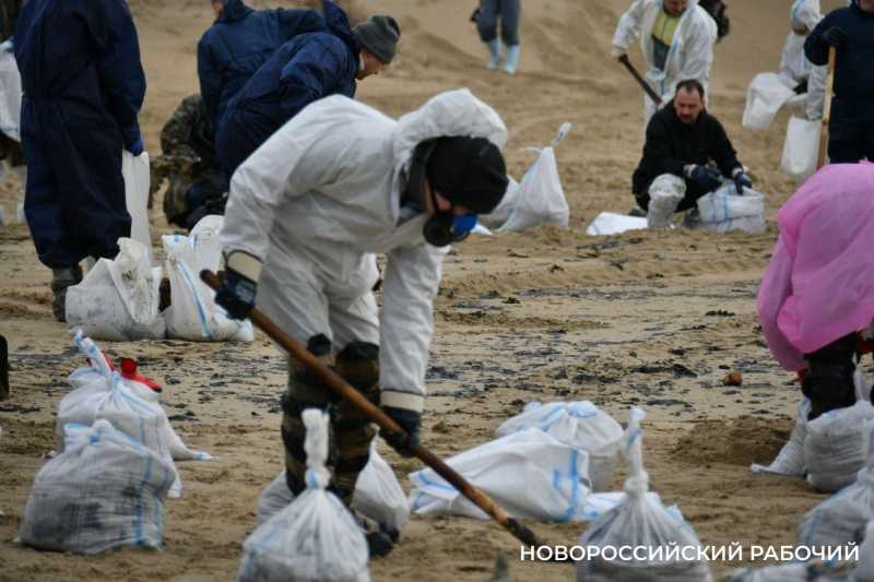 Кораблекрушение в Керченском проливе причинило ущерб природе Новороссийска