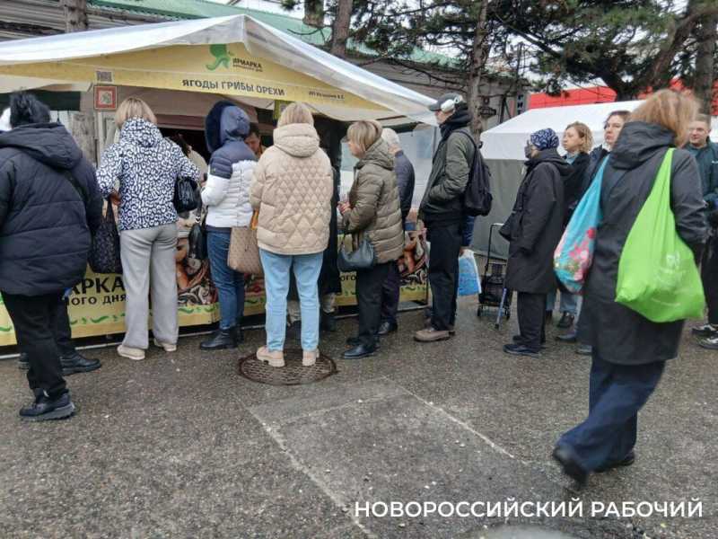 На сельхозярмарке Новороссийска выстраивались очереди за молоком и заморскими орехами