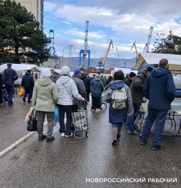 На сельхозярмарке Новороссийска выстраивались очереди за молоком и заморскими орехами