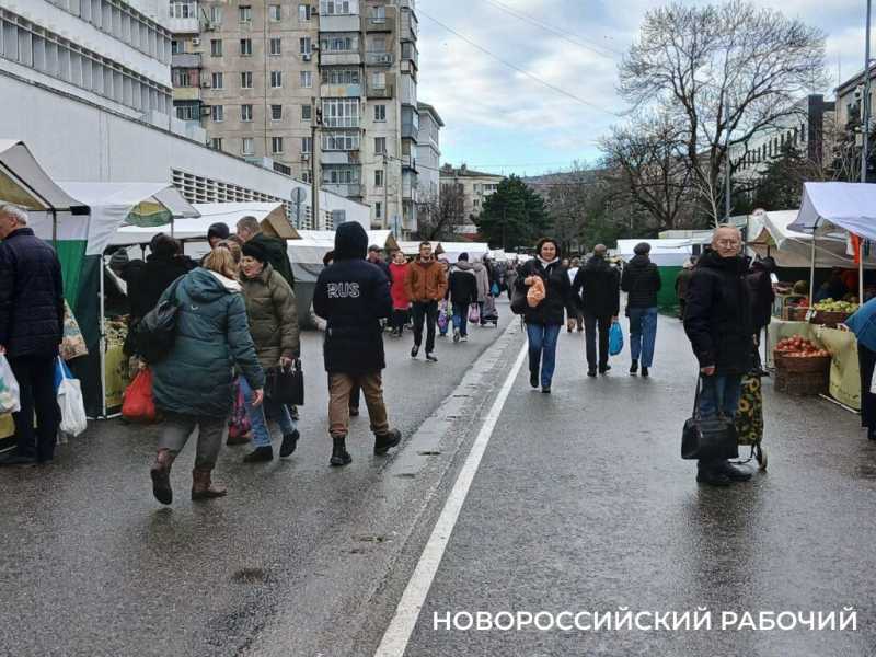 На сельхозярмарке Новороссийска выстраивались очереди за молоком и заморскими орехами
