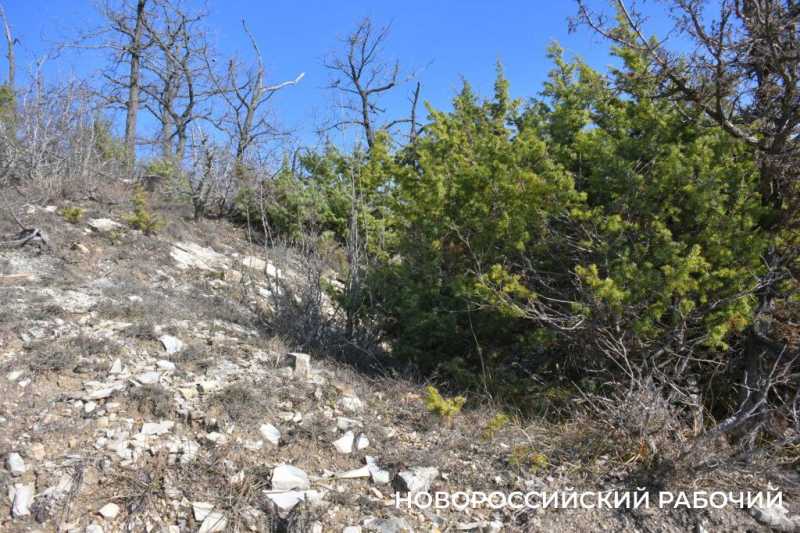Они бились до конца. Сегодня&raquo;Бескозырку&raquo; опустят в море в память о растреленном десанте в Южной Озерейке