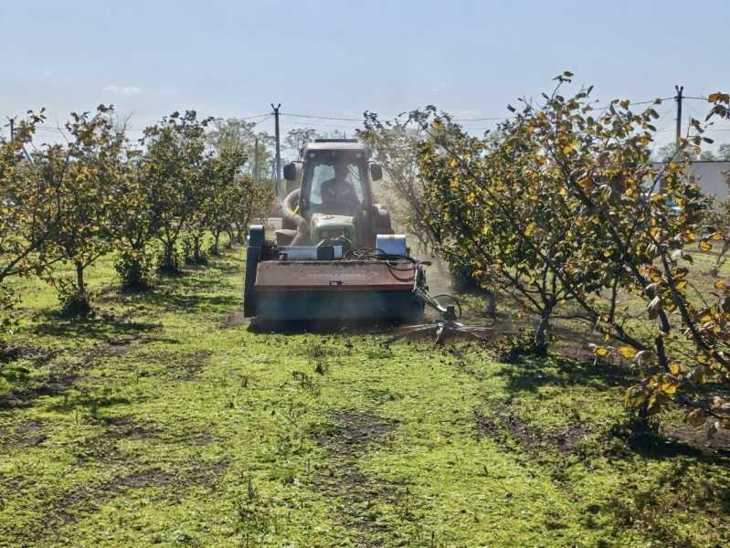 Предприятие из Лабинского района формирует новые стандарты работ в орехоплодном саду