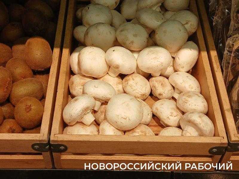 Сколько стоят в Новороссийске грибы для зимнего обеда