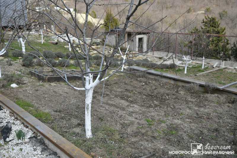 Совет дня на 15 февраля: день благоприятен для всех дел, так что не упусти его!