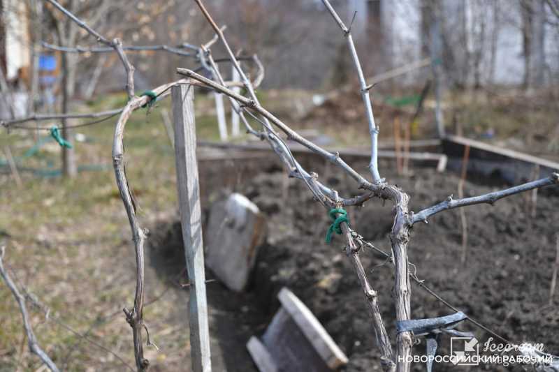 Совет дня на 17 февраля: спокойствие, только спокойствие!