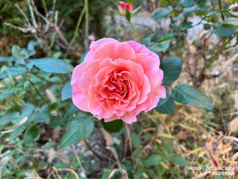 Совет дня на 18 февраля: подбери себе диету