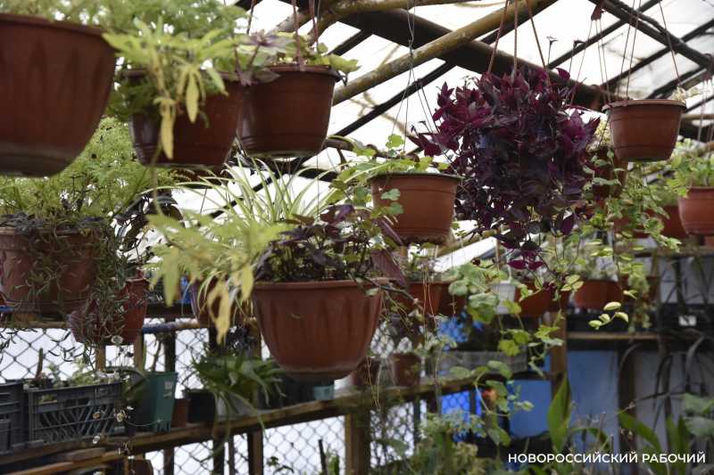 Совет дня на 3 февраля: сегодня полежать в кроватке подольше не только можно, но и нужно