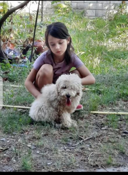 Спасенный Моцарт из Новороссийска стал фанатом и талисманом гандбольной команды