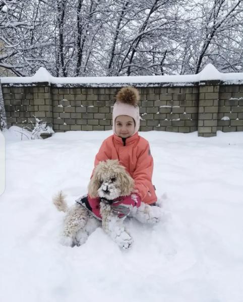 Спасенный Моцарт из Новороссийска стал фанатом и талисманом гандбольной команды