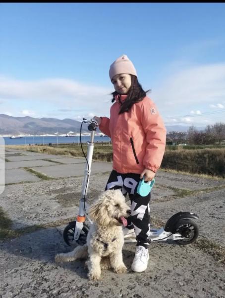 Спасенный Моцарт из Новороссийска стал фанатом и талисманом гандбольной команды