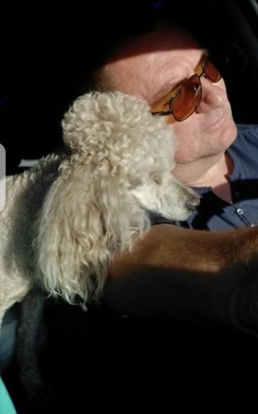 Спасенный Моцарт из Новороссийска стал фанатом и талисманом гандбольной команды