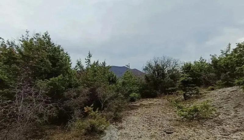 В 2026 году в Новороссийске появятся пять особо охраняемых природных территорий регионального значения