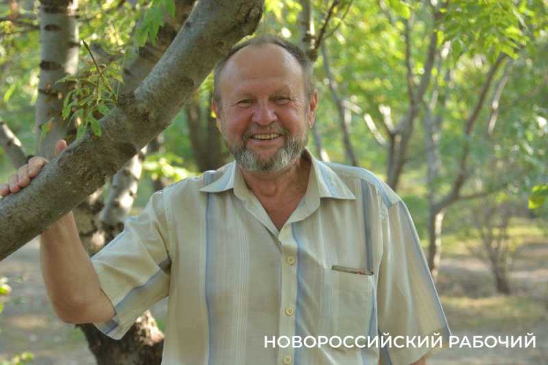 В Дендропарке Новороссийска может появиться грушевая аллея и смотровая вышка