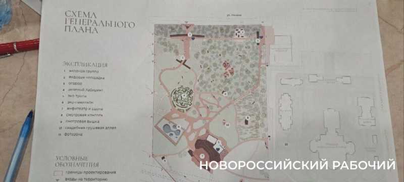 В Дендропарке Новороссийска может появиться грушевая аллея и смотровая вышка