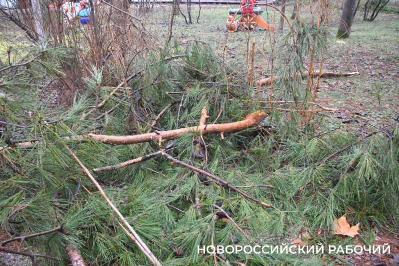 В Новороссийске из городского парка убирают аттракционы