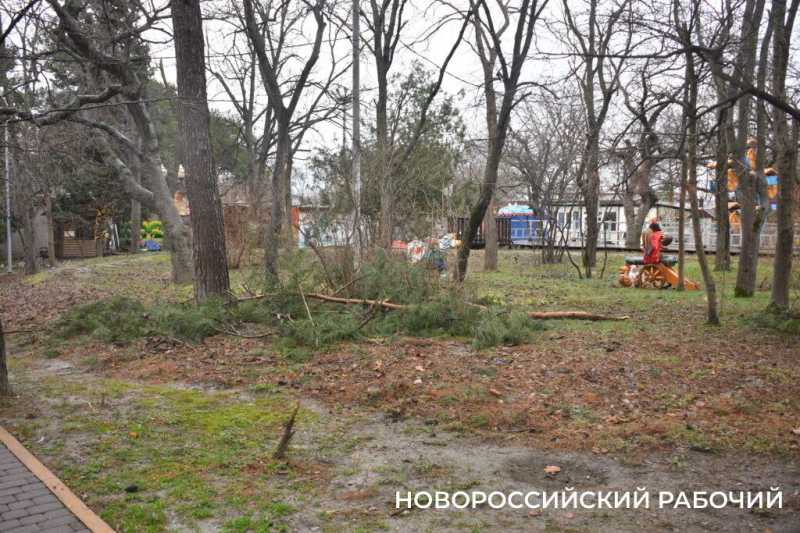 В Новороссийске из городского парка убирают аттракционы