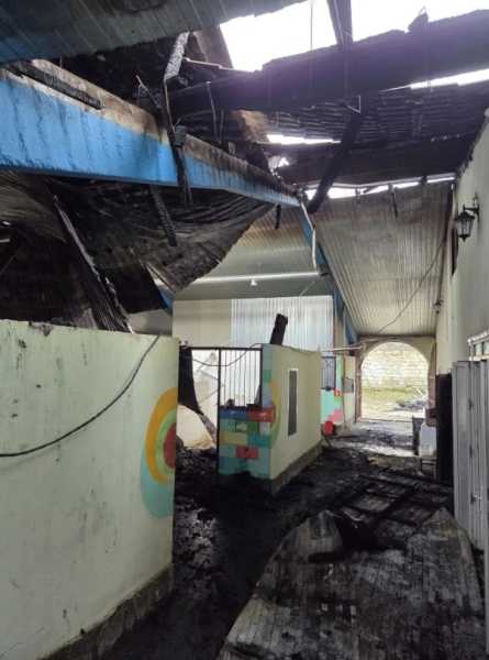 В Новороссийске лошади-артисты готовятся к выступлению после пожара в конюшне