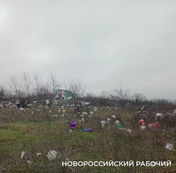 В Новороссийске мусор с полигона засыпает окрестности. Пакеты висят на деревьях