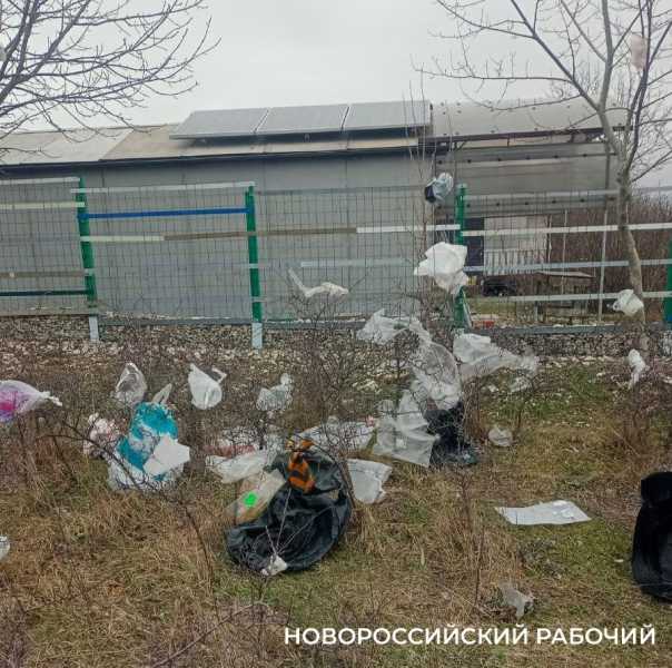 В Новороссийске мусор с полигона засыпает окрестности. Пакеты висят на деревьях