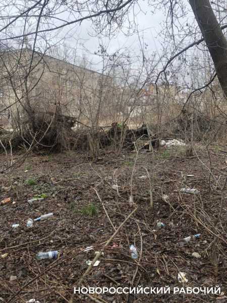 В Новороссийске на месте &laquo;Рыцарского зала&raquo; планируют построить скейт-парк