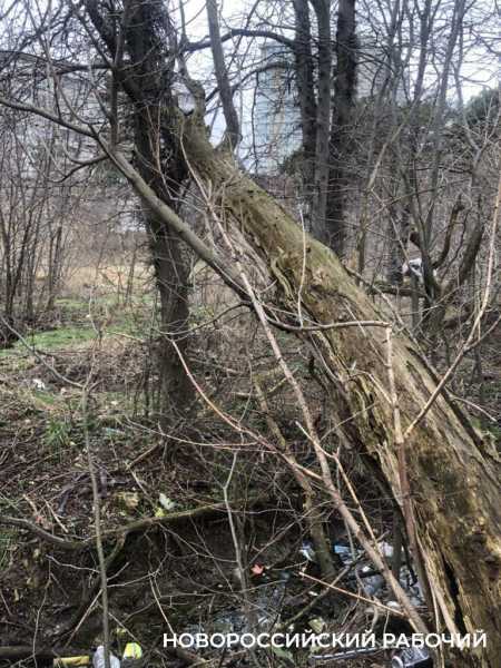 В Новороссийске на месте &laquo;Рыцарского зала&raquo; планируют построить скейт-парк
