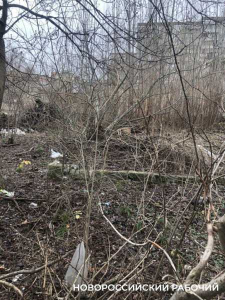 В Новороссийске на месте &laquo;Рыцарского зала&raquo; планируют построить скейт-парк