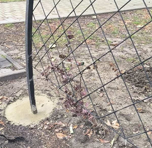 В Новороссийске будет больше тени