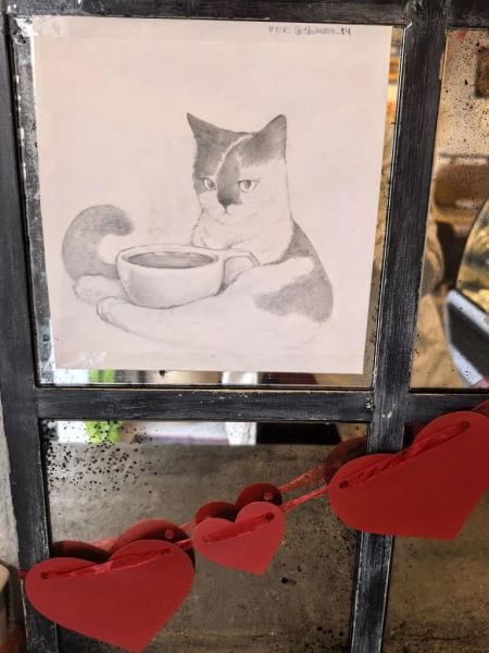 В Новороссийске спасенная бездомная кошка стала&hellip; логотипом кофейни