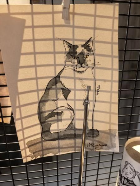 В Новороссийске спасенная бездомная кошка стала&hellip; логотипом кофейни