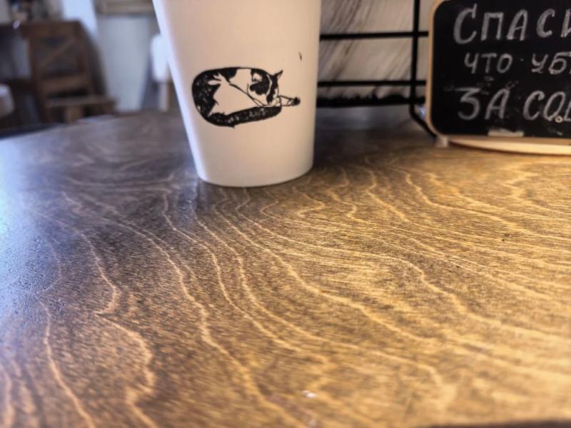 В Новороссийске спасенная бездомная кошка стала&hellip; логотипом кофейни