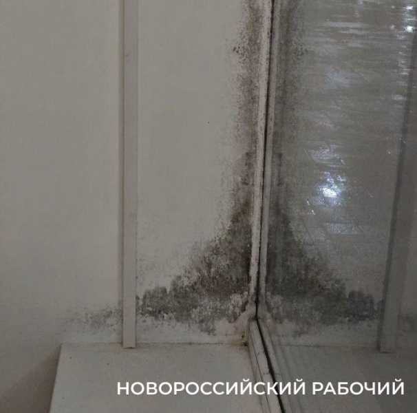 В Новороссийске жители посвящают стихи библиотеке с плесенью после грандиозного ремонта