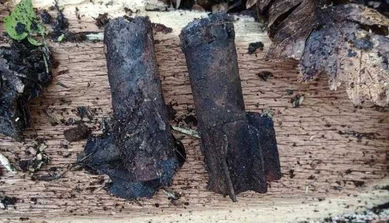 В окрестностях Новороссийска уничтожили минометные мины времен Великой Отечественной войны