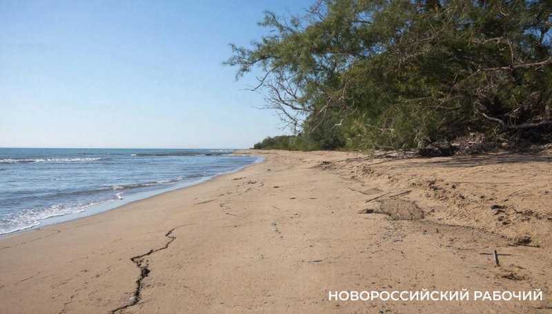 Ждать ли землетрясения в Новороссийске в ближайшее время? Ученые сделали прогнозы