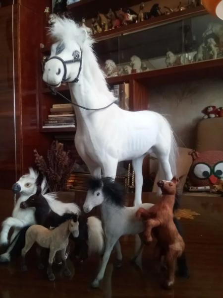 Жительница Новороссийска 30 лет собирает символы Китайского нового года-2026